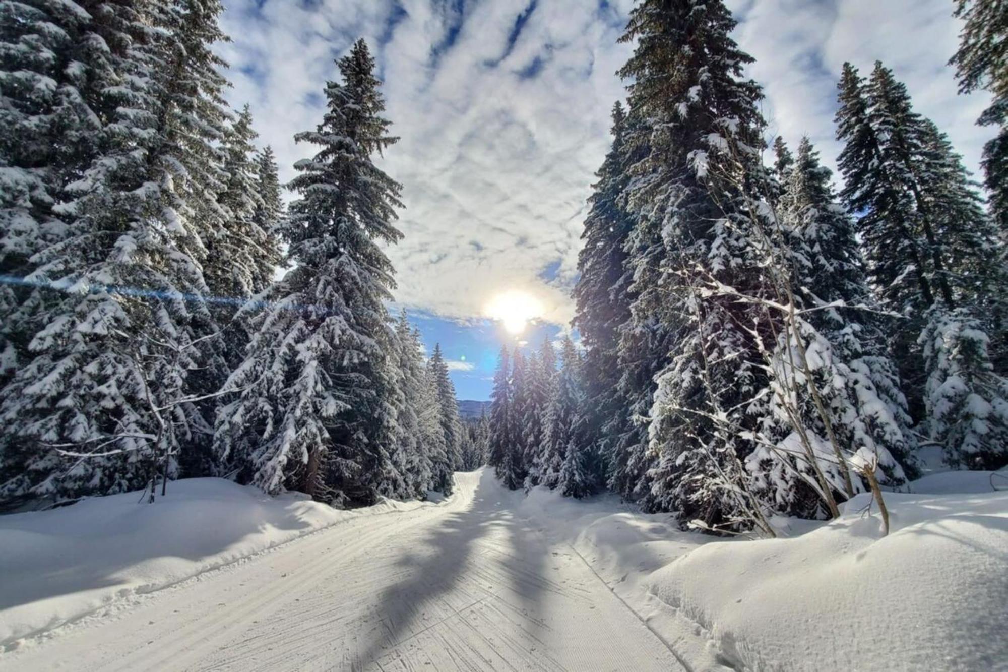 Cozy Apartment "Wapiti" At The Foot Of The Slopes Les Déserts المظهر الخارجي الصورة